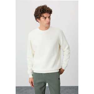 Omar Ecru <b>Brushed</b> Men's Sweatshirt 100% Cotton French Terry Regular Sleeve Breathable 88137 - Product Image 3