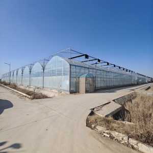Invernadero conectado de película fina de alta eficiencia para una <span class=keywords><strong>agricultura</strong></span> <span class=keywords><strong>sostenible</strong></span> - Product Image 3
