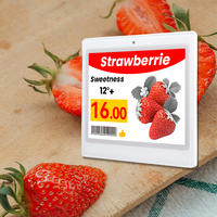 Supermarkt Elektronisch Schaplabel Digitaal Prijskaartje Barcode Display Draadloos E-Ink Prijsbord voor Winkelgang