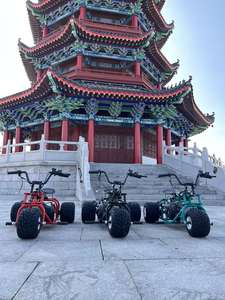 Kart à pédales 2026, dernier modèle, moteur quatre temps, mini <span class=keywords><strong>trike</strong></span> à dérive avec une vitesse maximale de 60 km/h, roues de dérive, cascades, course en plein air - Product Image 6