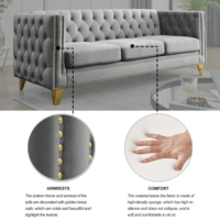 Canapé en velours pour salon, capitonné avec boutons, accoudoirs carrés, canapé moderne rembourré avec boutons et pieds en métal
