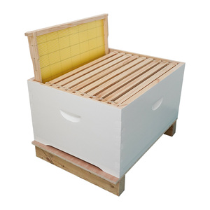 Ruche pour les abeilles Ruches d'abeilles australiennes complètes - Product Image 6