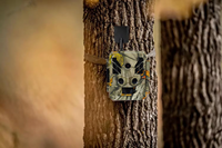 Caméra de chasse sans fil 4G LTE solaire extérieure 48MP 1080P CMOS avec application cloud et mini piège photo