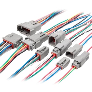 डीटीएम मोटर मोटर वाहन कनेक्टर डीटीएम 2 पी-12 पिन वाटरप्रूफ पुरुष प्लग 15 सेमी वायर हार्नेस - Product Image 2