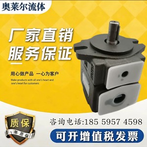 ปั๊มไฮดรอลิกแบบใบพัด HONGYI รุ่น PV2R1-19-FR 250 บาร์ ทำจากเหล็กหล่อ 1 สเตจ - Product Image 2