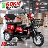 Tricycle électrique 3 places pour seniors, moteur 48V 600W/1000W, autonomie 31-60KM, cadre en acier haute teneur en carbone, pneus sous vide 300-8, trike électrique
