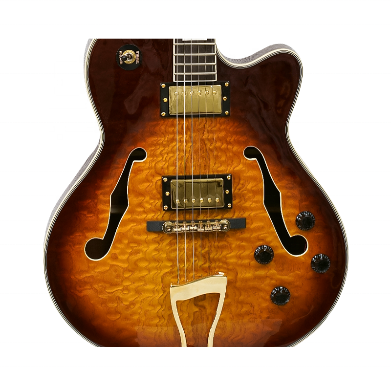 Electoc Jazz Instruments F-Hole Hollow Body Electric Jazz Guitar Double Sapele Back/Side ...