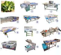 Volledig automatische, aanpasbare machine voor het blancheren, reinigen, snijden en snel invriezen van diepvriesfruit en -groenten.
