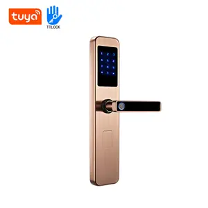 Smart Remote Control Ble Wifi Biométrico Fingerprint Segurança Tuya Smart Locks Cartão Chave Elétrica Digital Door Lock