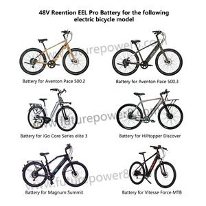 36V 48V Pedal de repuesto <span class=keywords><strong>HIMO</strong></span> <span class=keywords><strong>C20</strong></span> Batería de bicicleta eléctrica integrada iGo Ignite CONOR MBM - Product Image 6