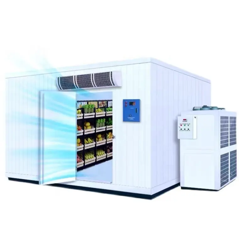 Refrigerador personalizado para armazenamento de ovos em fazendas e lojas de alimentos, supermercado e uso em hotéis