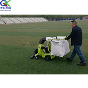 Máquina Manual de succión de hojas de carretera, barredor de basura para campo de golf, Colector de follaje neumático - Product Image 4
