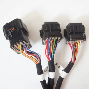 Harnes kabel otomotif kustom untuk pelanggan - Product Image 1