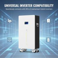 Batterie LiFePO4 15,36 kWh 51,2 V 300 Ah pour stockage solaire hybride, 6000+ cycles, Grade A, pour système de stockage d'énergie domestique