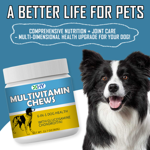 Großhandel Hochwertige Multivitamin-Kauartikel für Immunität & Gesundheit Multivitamin-Kauartikel für Hunde Gesundheits-Vitamin-Kauartikel für Katzen - Product Image 6