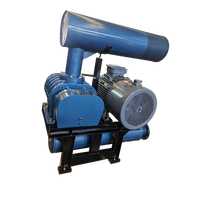 Souffleur rotatif à lobes série MJSR utilisé pour l'usine de traitement de l'eau souffleur de type lobe en Chine