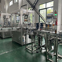 Machine de remplissage et de capsulage de liquide entièrement automatique pour l'emballage de petites bouteilles d'ampoules