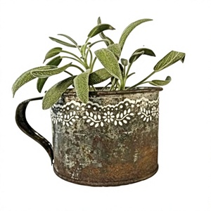 Arrosoir en métal galvanisé rustique moderne avec motif floral pour jardin - Product Image 1