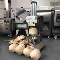 Machine à décortiquer et peler les noix de coco en acier inoxydable 304 à haute productivité pour la transformation des jeunes fruits de coco frais et des produits de boulangerie