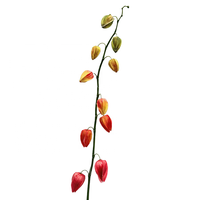 Tige de fleur de lanterne chinoise artificielle de 115 cm de long, tige de fleur de lanterne décorative