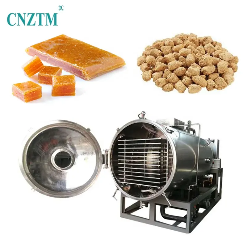 Industrial 200kgs Dried Fruit Chips Vacuum Freeze Dryer Machine Ordinary Product CE/ISO9001 Customized 200kg/charge AMBITIOUS