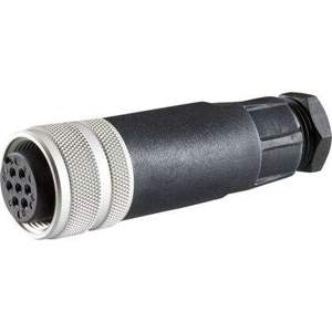 Conector Enchufable Estándar R900223890 7P Z31 BF6-3PG11MSPEZ IP67 6 + PE EN 175201-804 - Product Image 1