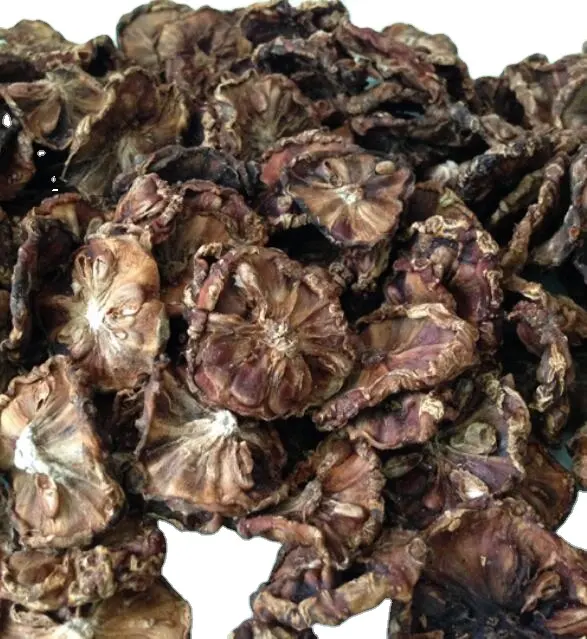 Großhandel natürliche getrocknete große Morinda indische Maulbeer-Noli-Früchte schneidet