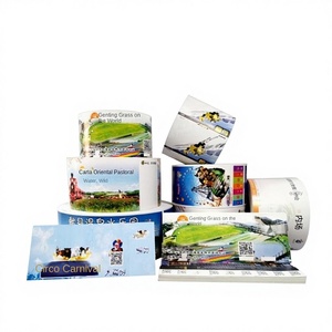 Billets de parc d'attractions imprimés par le fabricant, anti-contrefaçon, pliables, imprimés numériquement, estampés à chaud, en papier couché, imprimés par la machine - Product Image 1