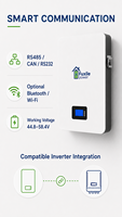 Batterie LiFePO4 murale 51,2 V 200 Ah 10,24 kWh avec BMS intégré, 6000 cycles, RS485 CAN RS232 pour stockage d'énergie solaire domestique