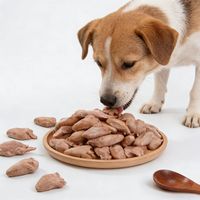 Friandises lyophilisées en forme de cœur de poulet pour chiens et chats, riches en protéines, sans additifs, pour la santé cardiaque et oculaire, soins dentaires, friandises pour chiens, aliments pour animaux de compagnie OEM