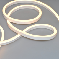 Luz de neón LED IP67 flexible de tamaño 1015 para cocina de hotel iluminación decorativa al aire libre