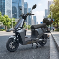 Fabricant OEM, prix bas, scooter électrique à assistance au pédalage de 250 W, homologué pour la route, pour adultes