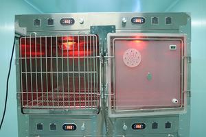 Veteriner kullanımı için elektrikli kızılötesi ısı yalıtımı oksijen kabin kafesi köpekler/kediler için paslanmaz çelik çerçeve taşıyıcı ve evler - Product Image 5