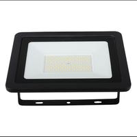 50W extérieur LED lumière d'inondation IP65 étanche Rechargeable jardin projecteur éclairage projecteur projecteurs muraux pour l'extérieur