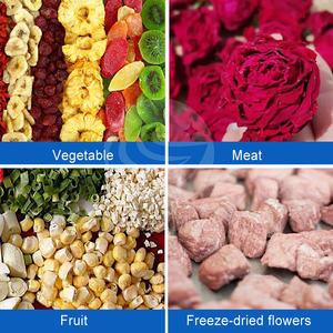 ORME Small <strong>Scorpion</strong> Venom Freeze Dryer Machine Mini Portable Dedicated Food Lyophilizer Machine Price - Product Image 6