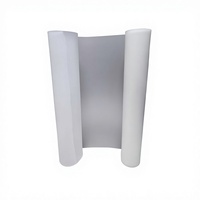 Lámina DTF A3 de 30 cm, Película PET de Doble Cara, Alta Temperatura, Despegue en Frío, Papel de Transferencia de Calor Instantáneo, Negro para Ropa Digital
