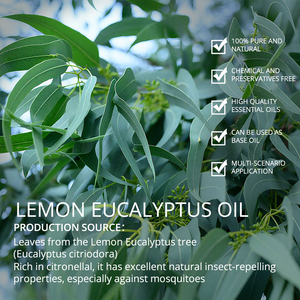 Huile essentielle de citron eucalyptus 100% pure, biologique et naturelle, en gros, à vendre - Product Image 3