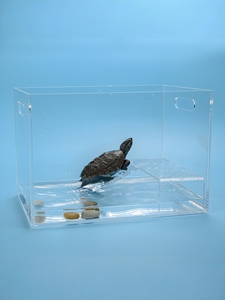 Serbatoio di tartaruga in acrilico ad alta trasparenza personalizzato stile moderno <span class=keywords><strong>per</strong></span> la casa ufficio scrivania acquario <span class=keywords><strong>per</strong></span> <span class=keywords><strong>Plexiglass</strong></span> tavolo da crogiolarsi - Product Image 3