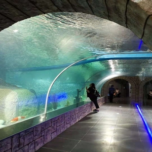 Chiaro vetro trasparente di grandi dimensioni tubo acrilico acquario acquario acquario acrilico acquario cilindrico per la vendita - Product Image 3