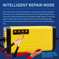 Chargeur de batterie 12V2A avec pulvérisateur d'eau pour batteries au plomb-acide, puissance de sortie 20W