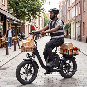 Vélo de livraison électrique 48V 50Ah 750W, vélo électrique à double <span class=keywords><strong>batterie</strong></span>, vélo de livraison de pizzas longue portée - Product Image 5