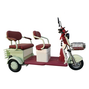 Triciclo Elettrico da Fabbrica 48V 60V a Bassa Velocità, Veicolo Elettrico a 3 Ruote 500W 1200W, Veicoli Ricreativi in Vendita - Product Image 4