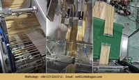 Livraison rapide la machine de fabrication de bâtons Machine de haute qualité pour BBQ Vente chaude machine de fabrication de cure-dents