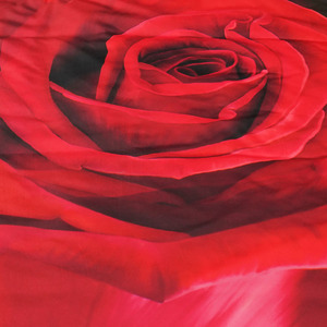 Vỏ Chăn Lông Vịt In 3D Thiết Kế Hoa Hồng Lớn 100% Bộ Ga Giường Hoa Vi Sợi Chải 3 Tấm Ga Trải Giường Nữ Hoàng Polyester - Product Image 4