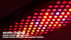 Usine en gros corps entier thérapie intelligente écran tactile panneau de thérapie par la lumière rouge 460W commandes tactiles services OEM/ODM - Product Image 6