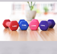 Haltère en plastique de gommage hexagonal de haute qualité pour les bodybuilders utilisent de petites cloches