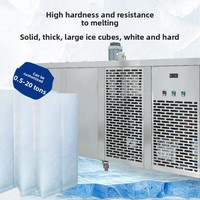 Machine à briques de glace industrielle de grande capacité pour le refroidissement de l'environnement