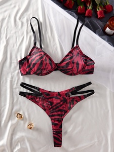 Zèbre imprimé maille dames Bikini maillot de bain maillots de bain rassembler femme sous-vêtements érotique soutien-gorge ensemble chaud Sexy robe Lingerie ensemble - Product Image 5
