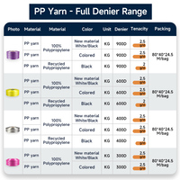 Wholesale FDY Multifilament Yarn 400D Solid Yarn Textile Weaving 100% Polypropylene FDY PP Yarn for Weaving Luggage Backpacks