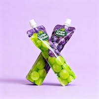Pochettes verticales personnalisées imprimées en gravure pour aliments pour bébés et animaux de compagnie, 200 ml et 300 ml, avec bec verseur, en PE, résistantes à l'humidité